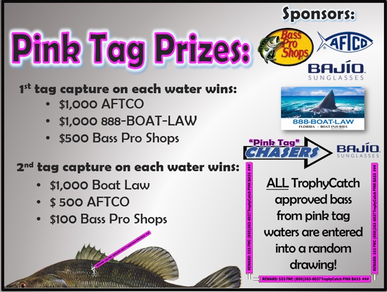 Pink Tag Prizing and Sponsors